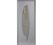 Quadro com Vidro Leaves II - 51x121cm | WestwingNow