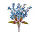 Planta Permanente Mini Lírio Outonado - Azul, AZUL | WestwingNow