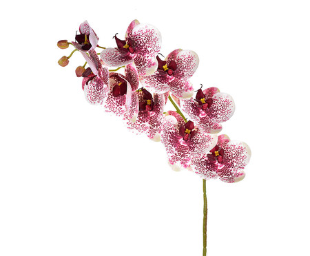Planta Permanente Orquídea - Roxo