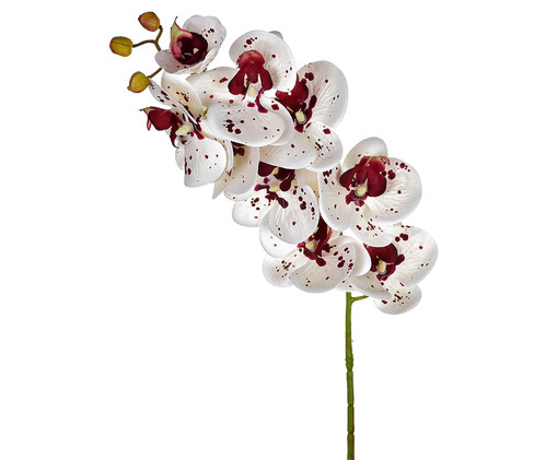 Planta Permanente Orquídea, BRANCO PURPURA | WestwingNow