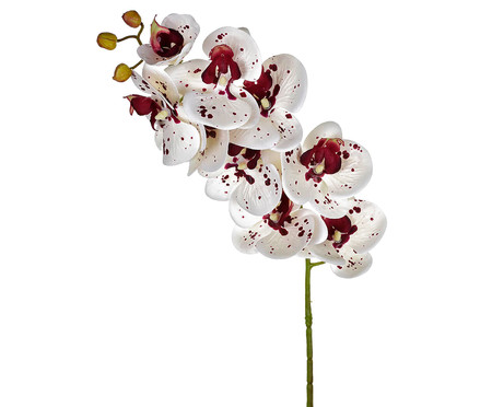 Planta Permanente Orquídea