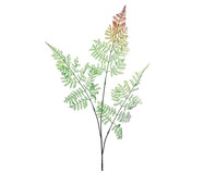Planta Permanente Samambaia - Colorido | WestwingNow