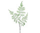 Planta Permanente Samambaia II - Verde, VERDE CLARO | WestwingNow