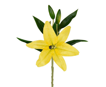 Planta Permanente Silvestre - Amarelo