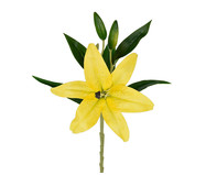 Planta Permanente Silvestre - Amarelo | WestwingNow