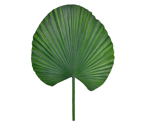 Planta Permanente Folha Palmeira Leque - Verde, VERDE | WestwingNow