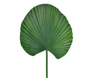 Planta Permanente Folha Palmeira Leque - Verde | WestwingNow