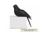 Adorno Oiseau Pássaro Lado Esquerdo, Preto | WestwingNow