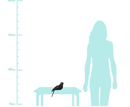 Adorno Oiseau Pássaro Lado Esquerdo | Westwing