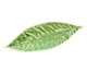 Adorno Willow Leaf - Verde, Verde | WestwingNow