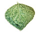 Adorno Leaf - Verde, Verde | WestwingNow