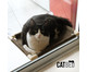 Cama Suspensa para Gatos Catbed - Fendi, Fendi | WestwingNow
