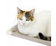 Cama Suspensa para Gatos Catbed - Marfim, Marfim | WestwingNow