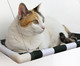 Cama Suspensa para Gatos Catbed Netuno - Verde Escuro e Branco, Verde Escuro e Branco | WestwingNow