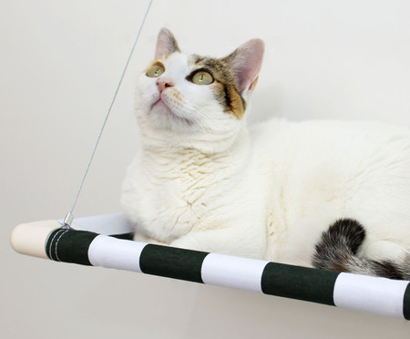 Cama Suspensa para Gatos Catbed Netuno - Verde Escuro e Branco | WestwingNow