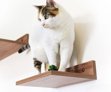 Kit de Prateleiras para Gatos Homecat Duo - Marrom | WestwingNow