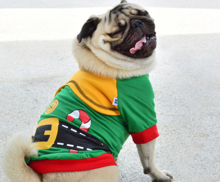 Camiseta para Cachorro Ajudante do Papai Noel - Verde | WestwingNow