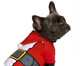 Camiseta de Natal para Cachorro Noel - Vermelha, Vermelho | WestwingNow