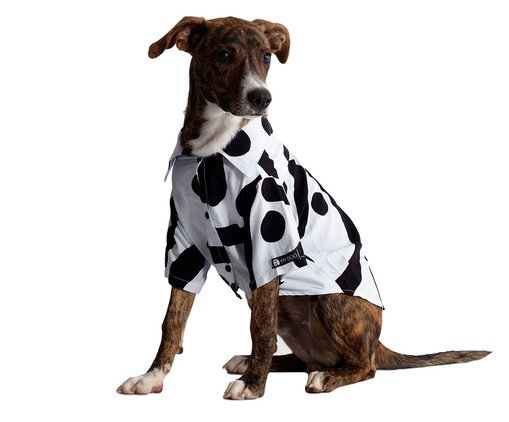 Camisa Pet Liberty P&B - Branco, P&B | WestwingNow