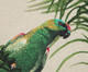 Lugar Americano Animais Papagaio - Verde, Verde | WestwingNow