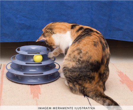 Torre de Bolinhas para Gatos  - Azul | Westwing