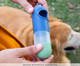 Porta-Saquinhos e Álcool em Gel para Pet - Azul, Azul | WestwingNow
