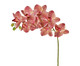 Planta Permanente Orquídea - Vinho, Vermelho | WestwingNow