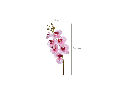 Planta Permanente Orquídea - Rosa | WestwingNow