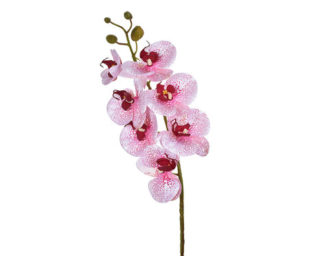 Planta Permanente Orquídea - Rosa