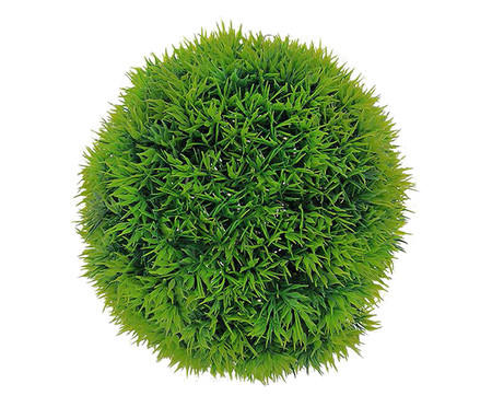 Planta Permanente Bola Pine - Verde