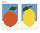Jogo de Quadros com Vidro Citrus, Colorido | WestwingNow