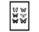Quadro com Vidro Butterfly - 30x45cm, Preto | WestwingNow