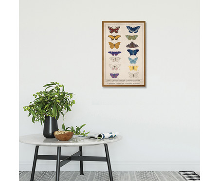 Quadro com Vidro Papillon - 40x60cm | WestwingNow