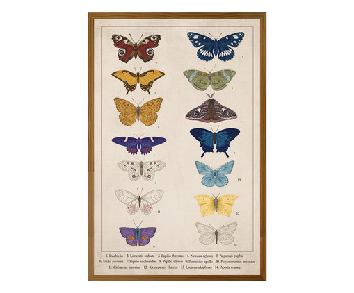 Quadro com Vidro Papillon - 40x60cm, Colorido | WestwingNow