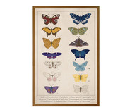 Quadro com Vidro Papillon - 40x60cm | WestwingNow