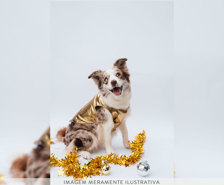 Regata para Pet Shine - Dourada | WestwingNow