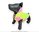Capa de Chuva Corta Vento para Pet Boo - Verde, Rosa | WestwingNow