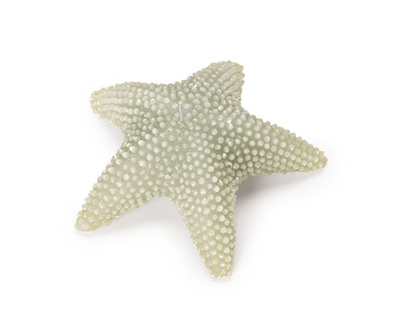 Vela Estrela do Mar - Verde