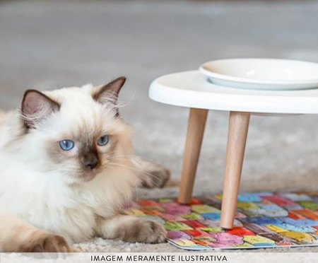 Jogo de Comedouro em Porcelana e Tapetinho Happy Cats II - Colorido | WestwingNow