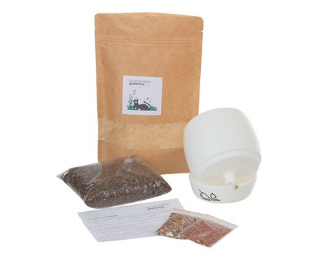 Graminha de Gato - Kit Cultivo Autoirrigavel Branco | Westwing