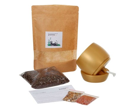 Kit para Pet Graminha Cultivo Autoirrigavél - Golden | WestwingNow