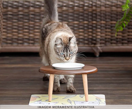 Comedouro em Porcelana Elevado para Gato - Imbuia | WestwingNow