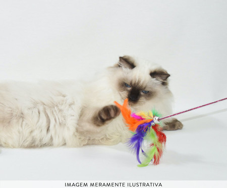 Varinha para Gatos Cat Play - Colorido | WestwingNow