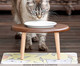 Tapetinho Impermeável Cute Cats - 33x26cm, AMARELO | WestwingNow