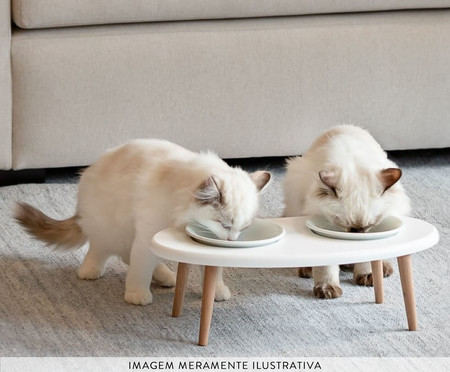 Comedouro em Porcelana Elevado Duplo para Gatos - Branco | WestwingNow
