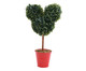 Topiaria Mickey Verde e Vermelho, Vermelho | WestwingNow