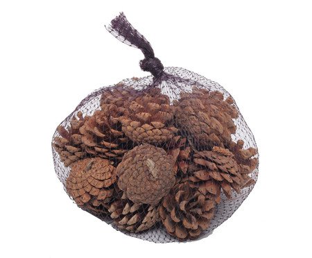 Saquinho com Pinhas Taylor | Westwing