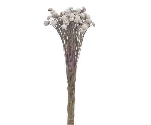Plantas Secas Botão Bolinha -  Cinza, Natural | WestwingNow