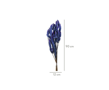 Plantas Secas Rabo De Gato Celosia -  Azul | WestwingNow