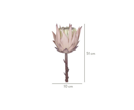 Planta Permanente Protea Silvestre - Malva | WestwingNow